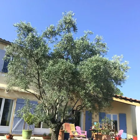 Belle Avec Piscine Villa